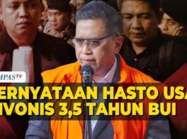 Perbandingan Vonis Hasto dan Tom Lembong: Korban Pengadilan Politik?